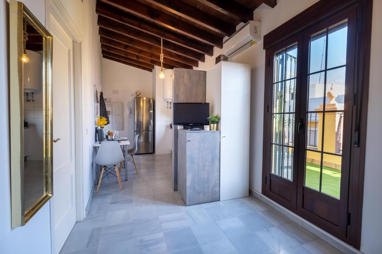 Appartement Triana Penthouse *